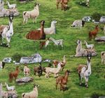 Llama Farm Print Fabric is a picturesque collection of Llamas grazing in the field on all cotton fabric/44" wide by Elizabeth Studios
