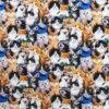 Adorable kitten breeds packed print by the yard on 44″wide All Cotton/Colors: browns, greys, white, black, and blue by Elizabeth Studios