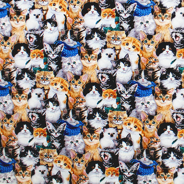 Adorable kitten breeds packed print by the yard on 44″wide All Cotton/Colors: browns, greys, white, black, and blue by Elizabeth Studios