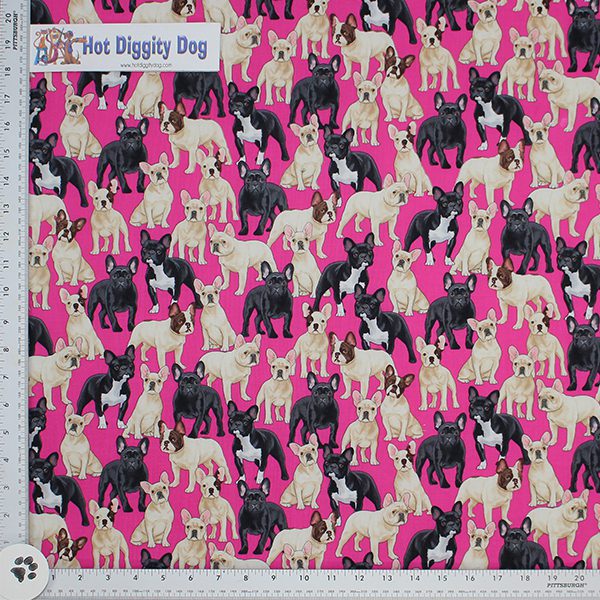 Packed French Bulldogs on a Pink Background.