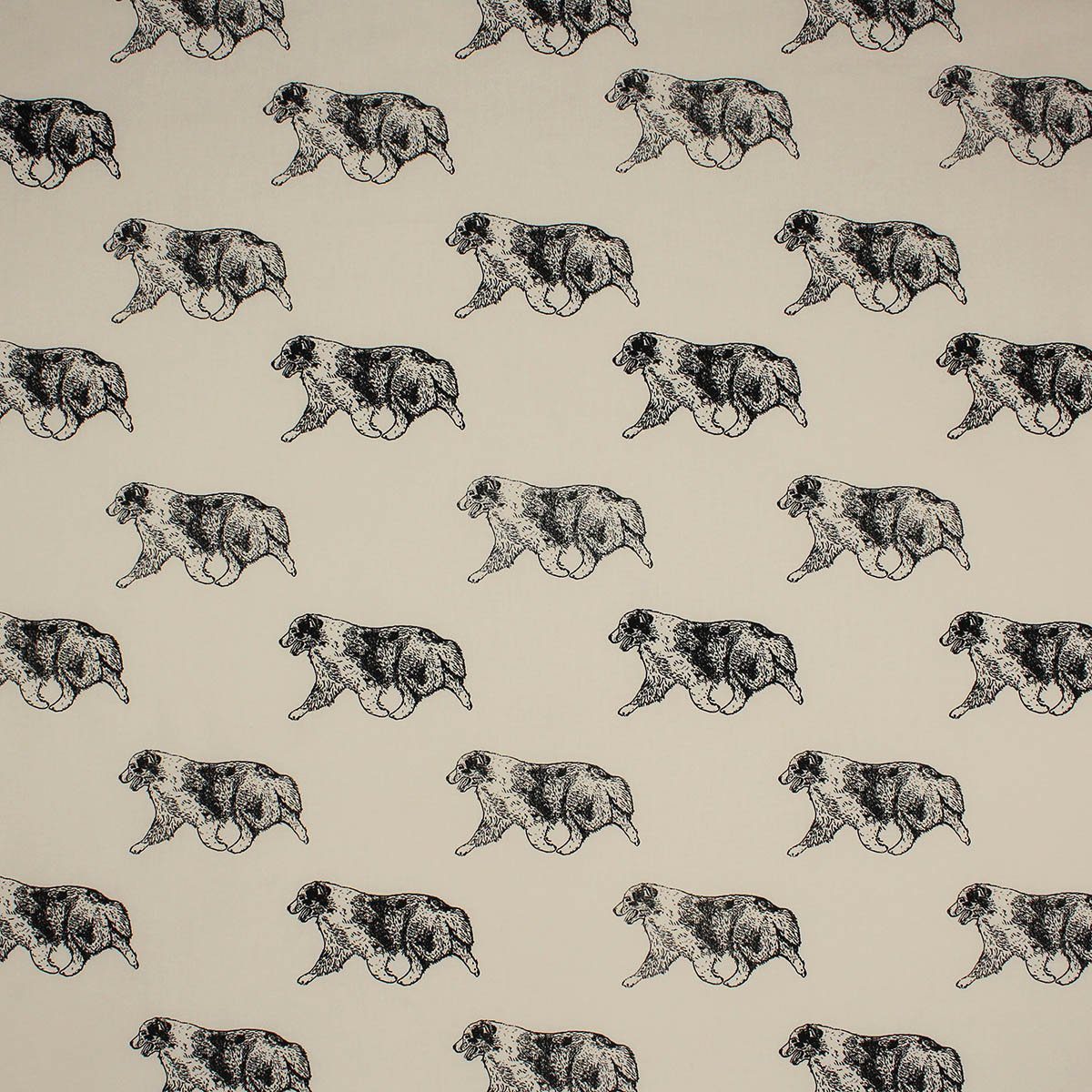Australian-Shepherd fabric, dog is gaiting on light mocha background fabric
