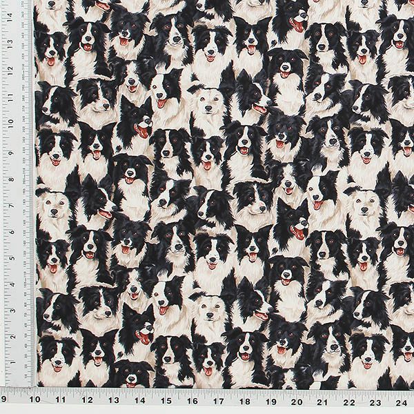 Packed Black and White Border Collie Faces throughout All Cotton Fabric imported from the manufacturer, Makower U.K