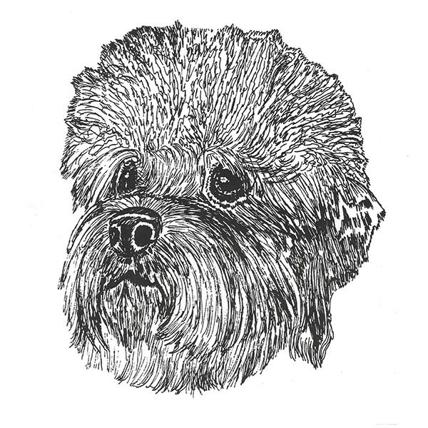 Dandi Dinmont Terrier faces printed throughout All Cotton fabric in 30 select colors